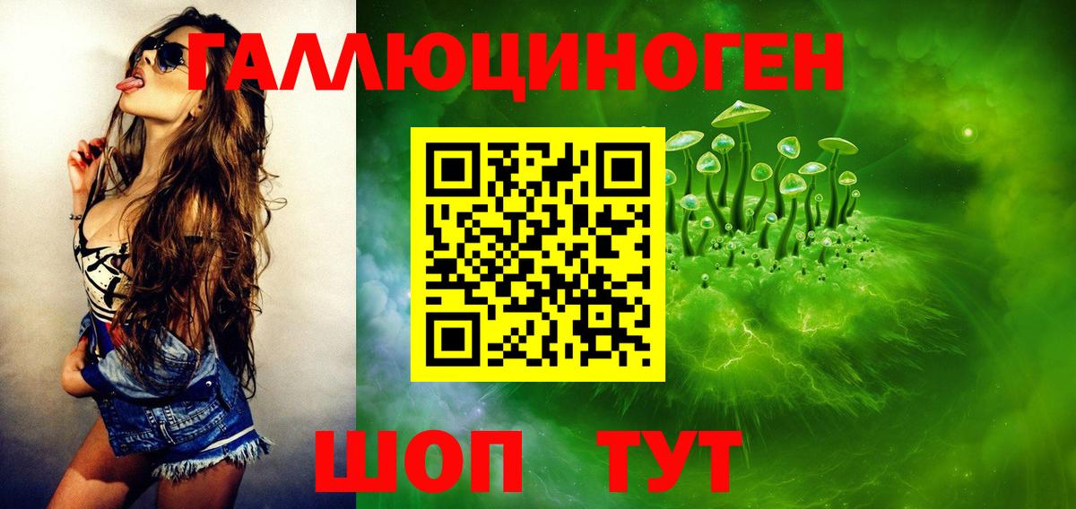 Красноармейск  Галлюциногенные грибы Psilocybine cubensis  Вход с VPN 